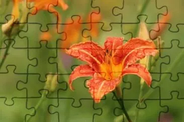 OK jigsaw puzzle