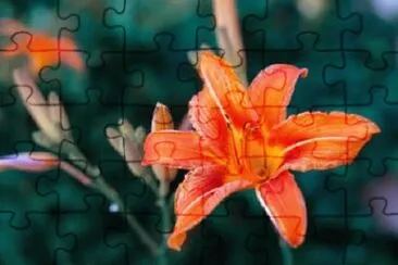 OK jigsaw puzzle