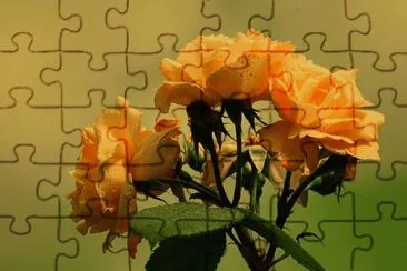  jigsaw puzzle