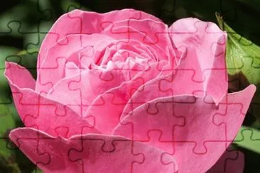 OK jigsaw puzzle