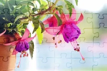  jigsaw puzzle