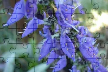 OK jigsaw puzzle