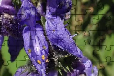 OK jigsaw puzzle