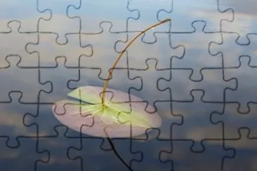 Foto jigsaw puzzle