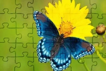 357 jigsaw puzzle