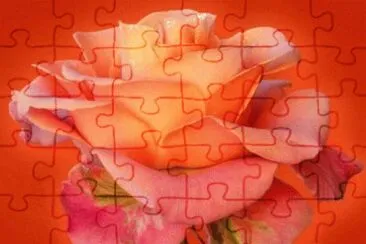 OK jigsaw puzzle
