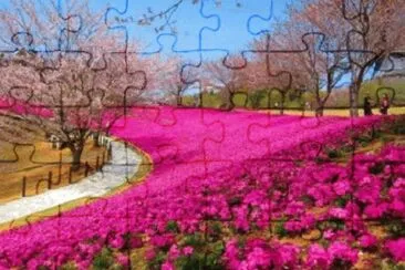 OK jigsaw puzzle