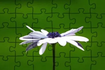 OK jigsaw puzzle