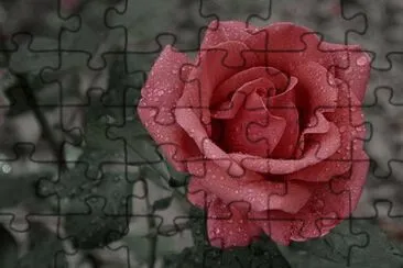 OK jigsaw puzzle
