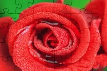 OK jigsaw puzzle