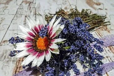 Foto jigsaw puzzle
