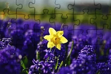 OK jigsaw puzzle