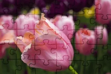 OK jigsaw puzzle
