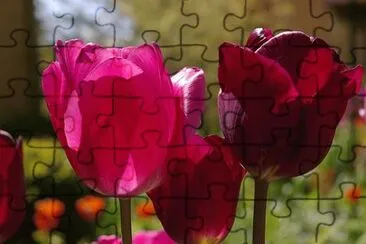 OK jigsaw puzzle