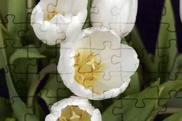 OK jigsaw puzzle