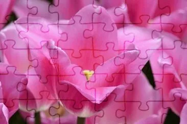 OK jigsaw puzzle