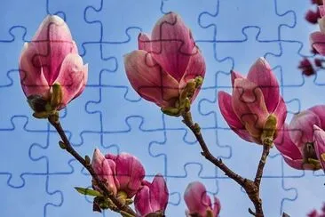 OK jigsaw puzzle