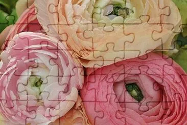 OK jigsaw puzzle