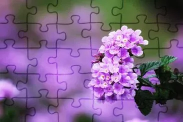 OK jigsaw puzzle
