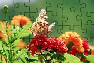 OK jigsaw puzzle
