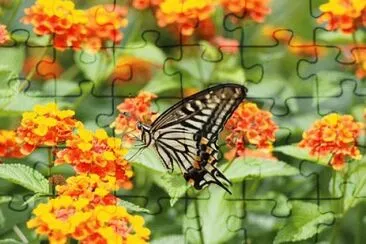 OK jigsaw puzzle