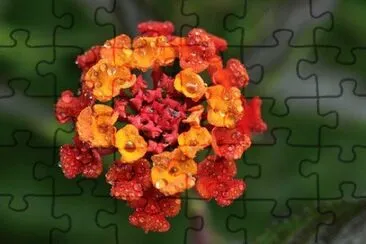 OK jigsaw puzzle