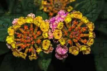 OK jigsaw puzzle