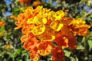 OK jigsaw puzzle