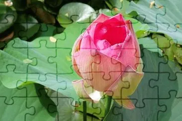 OK jigsaw puzzle