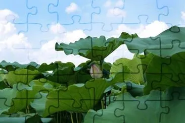 Foto jigsaw puzzle