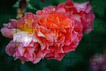 OK jigsaw puzzle