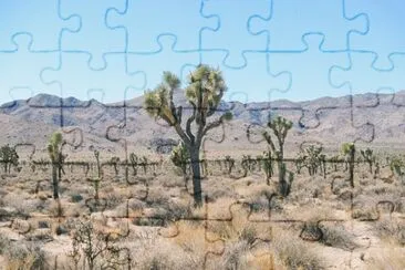 Foto jigsaw puzzle