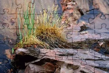 Foto jigsaw puzzle