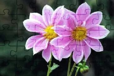 449 jigsaw puzzle