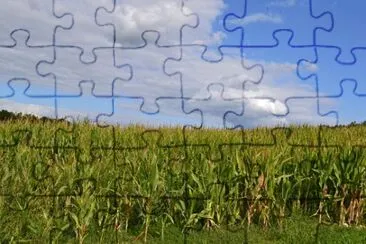 Foto jigsaw puzzle