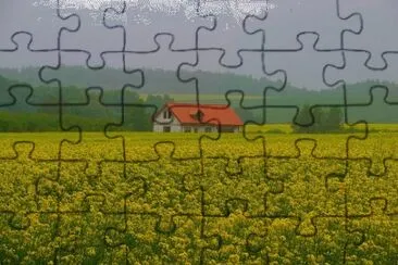 Foto jigsaw puzzle