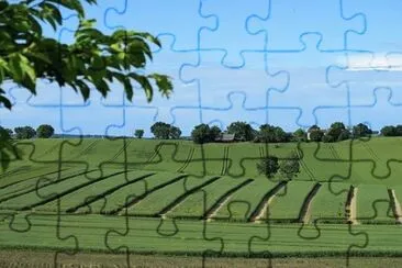 Foto jigsaw puzzle