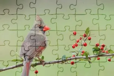 imagem jigsaw puzzle