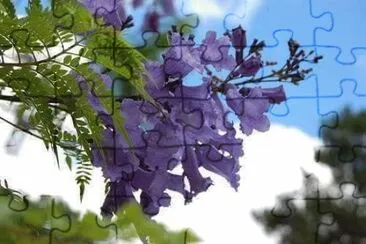 imagem jigsaw puzzle