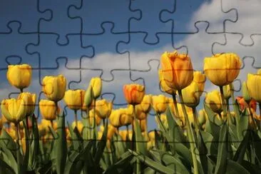 OK jigsaw puzzle
