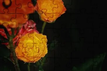 OK jigsaw puzzle