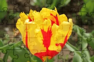 OK jigsaw puzzle