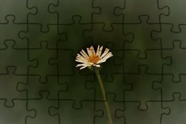OK jigsaw puzzle