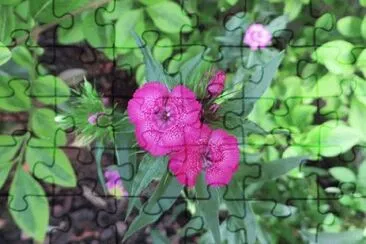 OK jigsaw puzzle