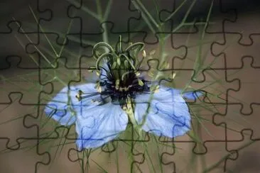 OK jigsaw puzzle