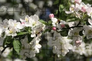 OK jigsaw puzzle