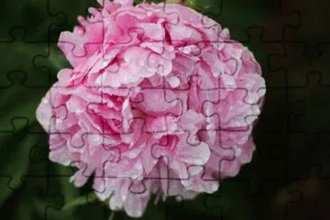 OK jigsaw puzzle