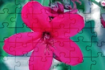 OK jigsaw puzzle