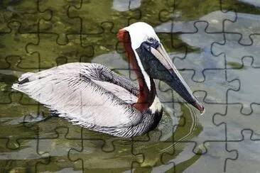 Foto jigsaw puzzle