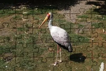 Foto jigsaw puzzle